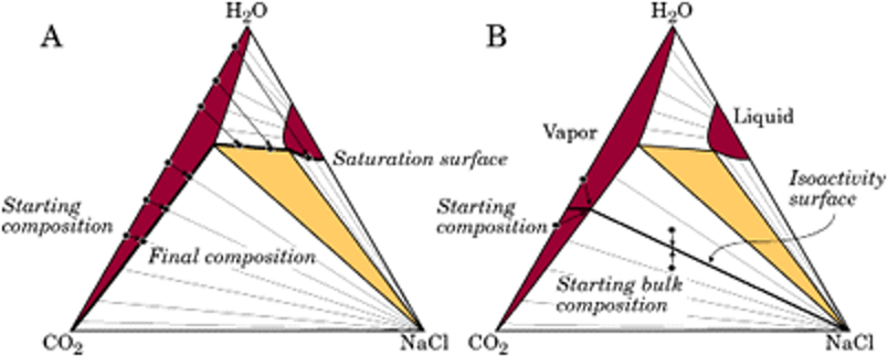 CO2-H2O-NaCl